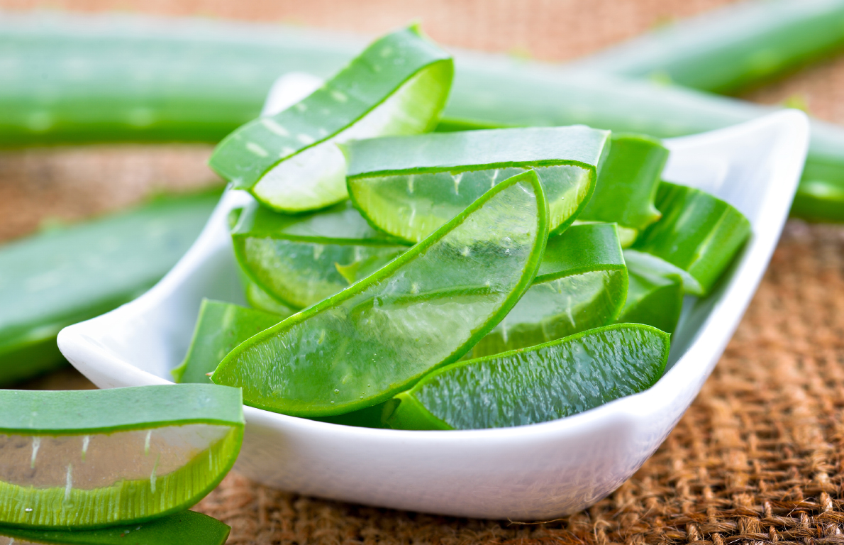 Aloe Vera From 18 Food Based Remedies For Dry Skin Slideshow The